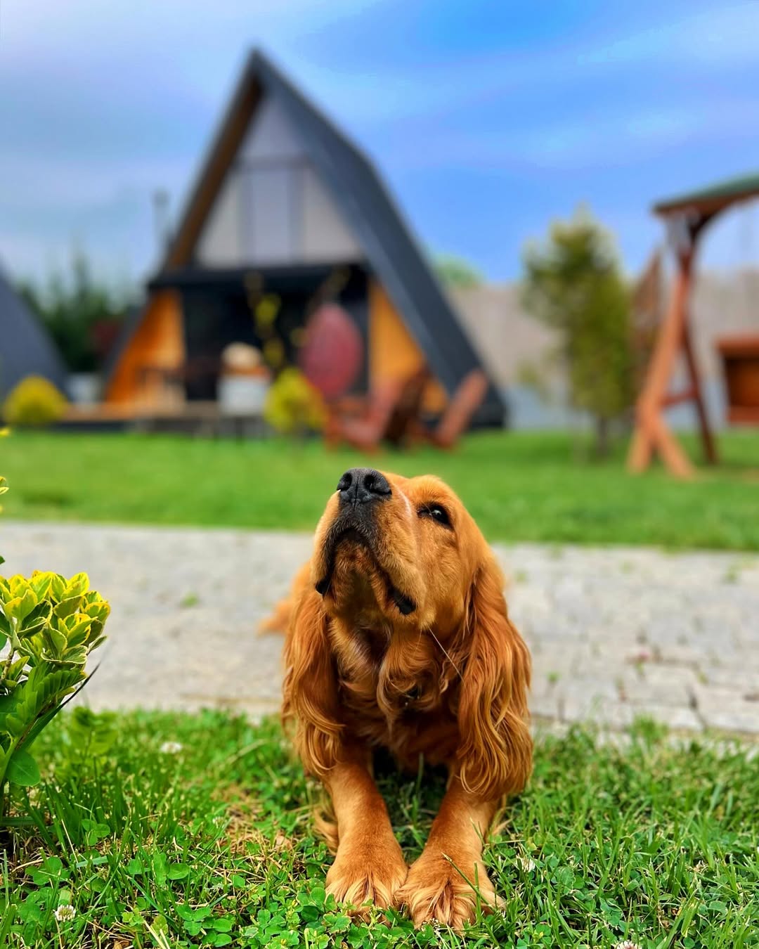 469867899_18022667195629126_5504939183750251313_n 469867899_18022667195629126_5504939183750251313_n